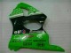 Abs Carenagem Kawasaki ZX6R 00-02 - Verde Preto