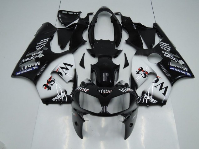 Kit Completo Carenagem Kawasaki ZX12R 02-06 - West